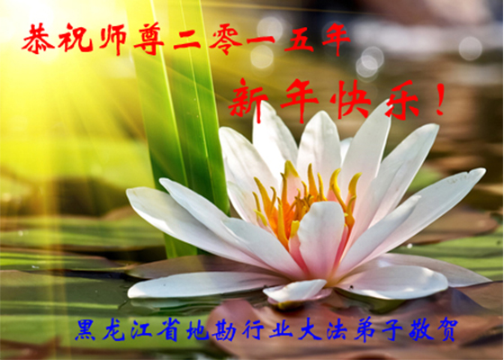 Image for article Praticantes do Falun Dafa de várias profissões respeitosamente desejam ao Mestre Li Hongzhi um Feliz Ano Novo (35 saudações)