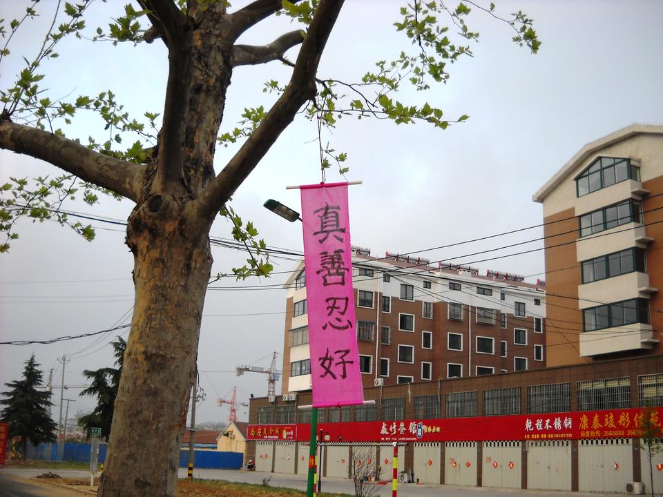 Image for article Faixas e cartazes pela China comemoram o Dia Mundial do Falun Dafa 