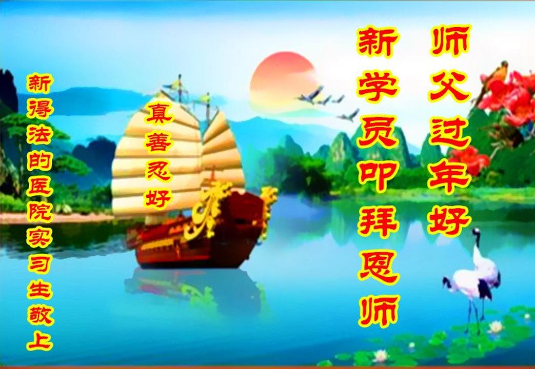Image for article Novos praticantes experimentam as maravilhas do Falun Dafa e desejam ao Mestre Li um feliz ano novo chinês