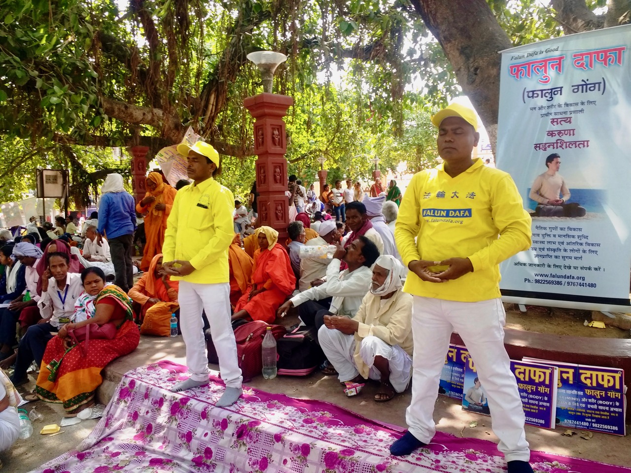 Image for article Índia: Apresentando o Falun Dafa aos peregrinos na árvore sagrada