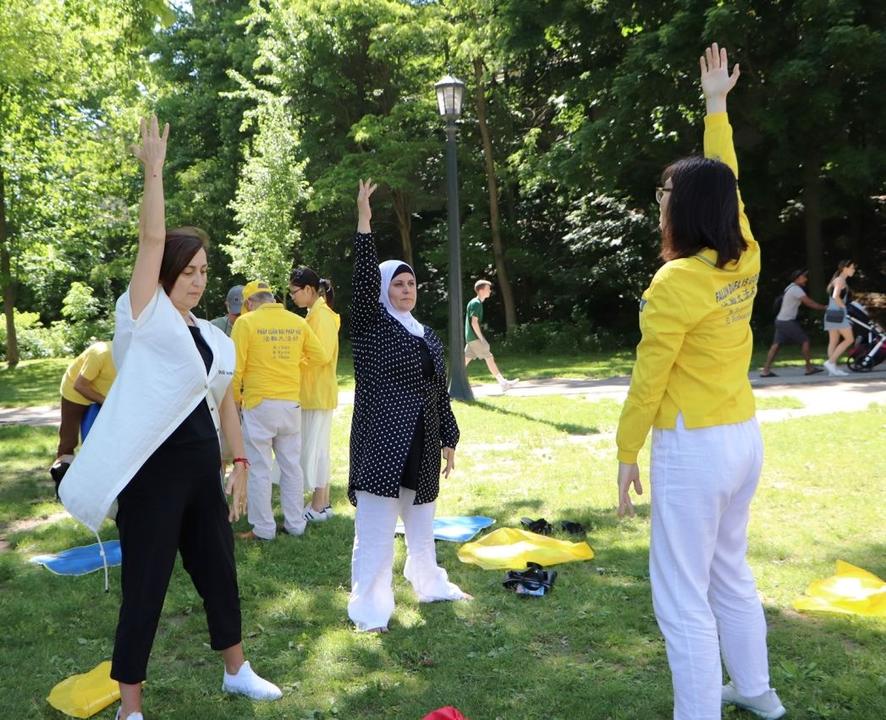 Image for article Cataratas do Niágara turistas conhecem o Falun Dafa