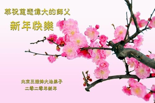 Image for article Os praticantes do Falun Dafa de Pequim respeitosamente desejam ao Mestre Li Hongzhi um Feliz Ano Novo Chinês (26 saudações)