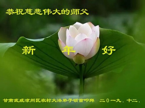 Image for article Os praticantes de Falun Dafa das áreas rurais desejam respeitosamente ao Mestre Li Hongzhi um Feliz Ano Novo (24 saudações)