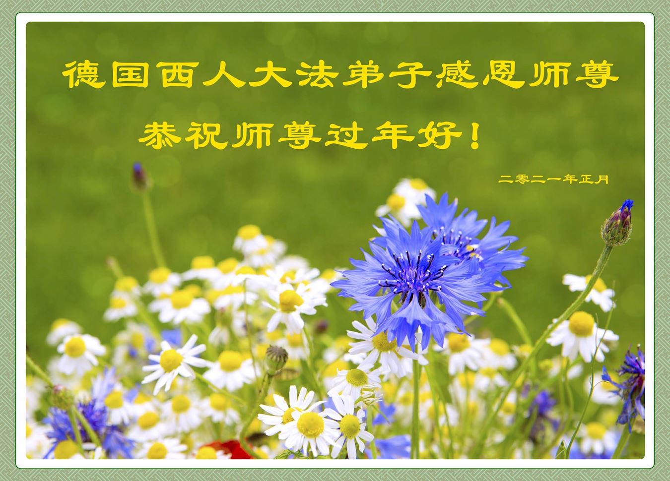 Image for article Alemanha: praticantes ocidentais do Falun Dafa recordam suas experiências de cultivo e desejam ao Mestre um Feliz Ano Novo Chinês