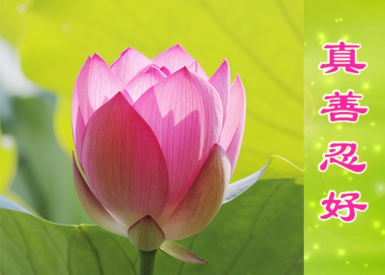 Image for article [Celebração do Dia Mundial do Falun Dafa] Os méritos sem limites do Falun Dafa