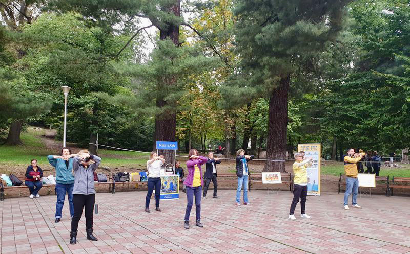 Image for article ​Três dias de atividades do Falun Dafa realizadas em Baia Mare, Romênia