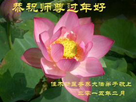 Image for article Praticantes do Falun Dafa de diferentes profissões desejam ao venerável Mestre Li um Feliz Ano Novo Chinês (39 saudações)