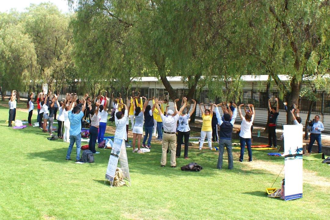 Image for article México: Apresentando o Falun Gong para estudantes e professores universitários