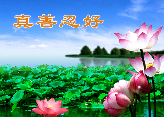 Image for article Devo a felicidade do meu casamento ao meu marido, um praticante do Falun Gong