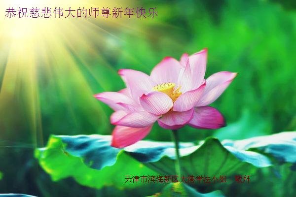 Image for article Praticantes de 30 províncias da China desejam ao Mestre Li um Feliz Ano Novo! 