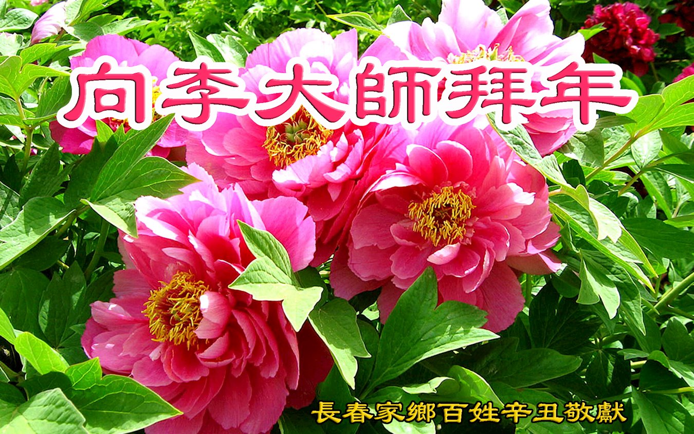 Image for article Cidadãos chineses enviam saudações de ano novo ao Mestre Li Hongzhi