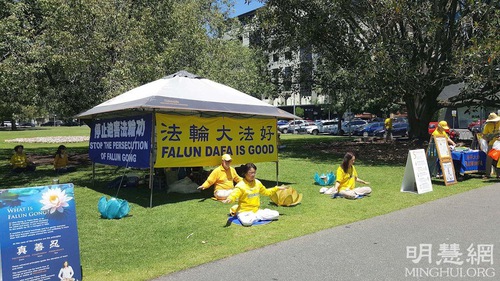 Image for article Adelaide, Austrália: Pessoas agradecem ao Falun Dafa por trazer uma mensagem de esperança