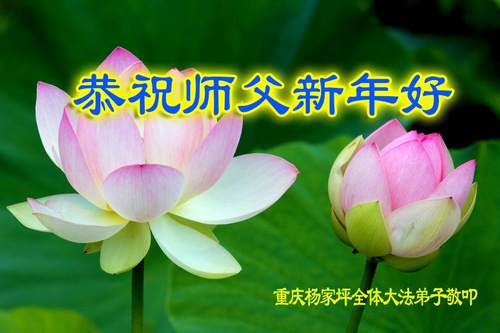 Image for article Praticantes do Falun Dafa de Chongqing desejam respeitosamente ao Mestre Li Hongzhi um feliz ano novo (22 Saudações)