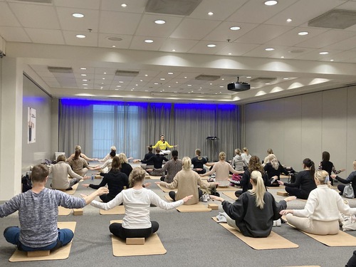 Image for article Helsinque, Finlândia: Apresentando o Falun Dafa na Feira de Saúde Popular