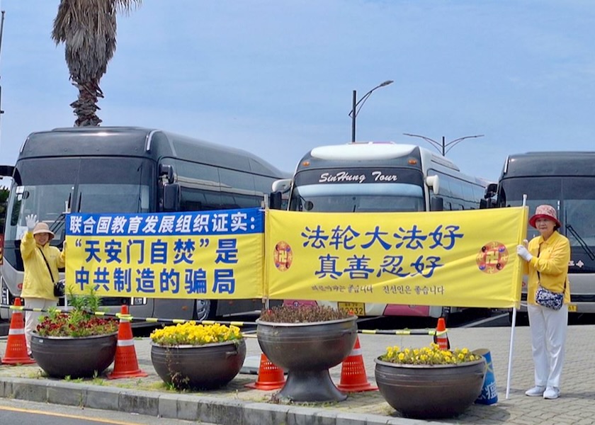 Image for article Ilha de Jeju, Coreia do Sul: Turistas chineses agradecem aos praticantes por contarem a eles sobre a perseguição