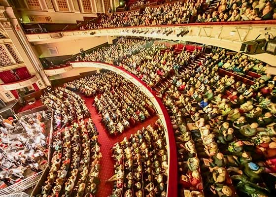 Image for article Cidadãos chineses assistem ao Shen Yun durante o Ano Novo: “Eu realmente quero agradecer a esses artistas”