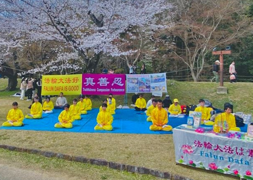 Image for article Cidade de Toyota, Japão: Apresentação do Falun Dafa no Festival da Flor de Cerejeira Sakura
