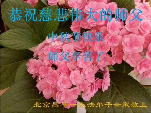 Image for article ​Praticantes do Falun Dafa de Pequim respeitosamente desejam ao Mestre Li Hongzhi um Feliz Festival do Meio do Outono (18 saudações)
