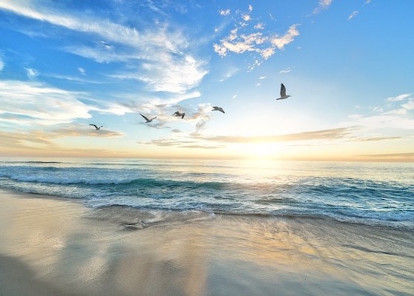 Image for article Aprimorando meu cultivo enquanto cuido da minha neta