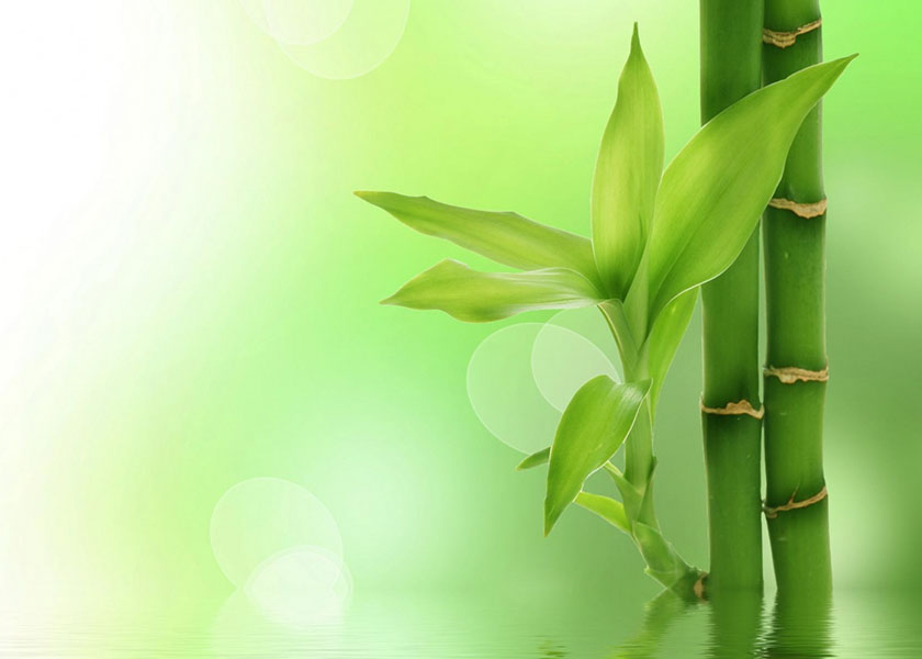 Image for article Lição não aprendida da Revolução Cultural: “Que o nosso destino sirva de aviso para vocês”