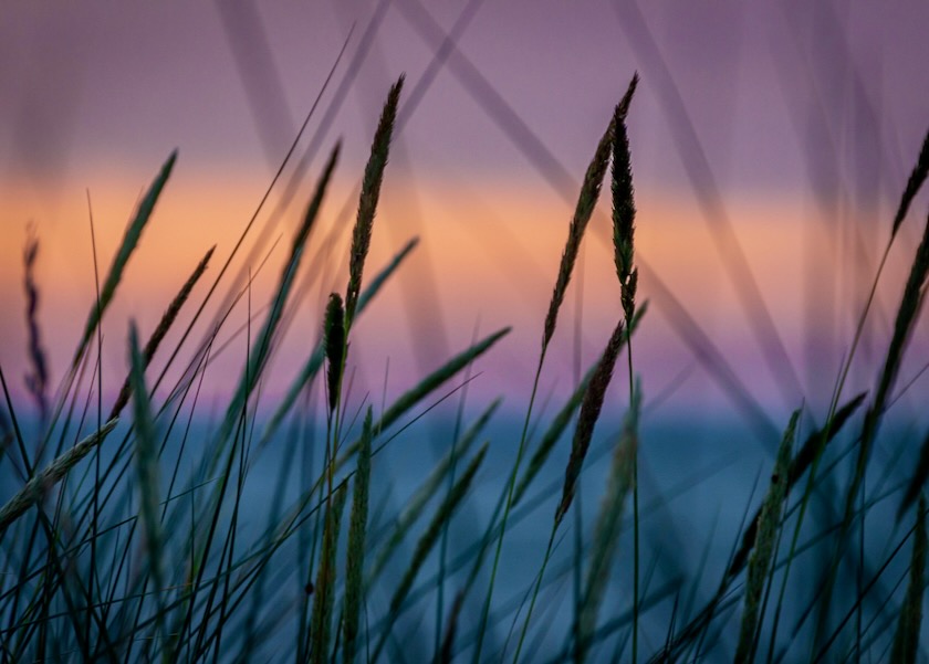 Image for article ​Retribuição cármica para praticantes que tiram vidas