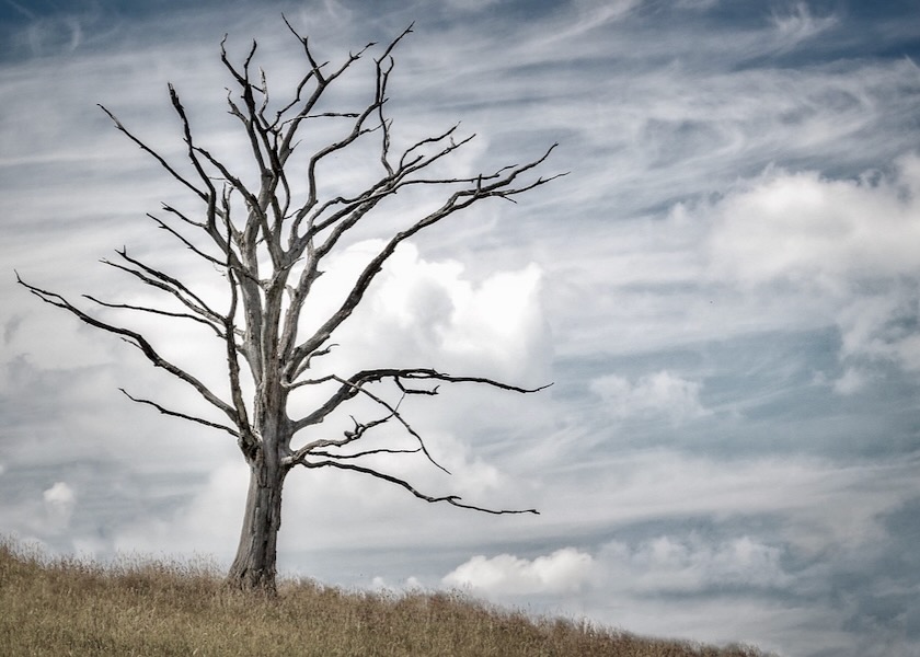 Image for article ​Os 18 níveis do inferno