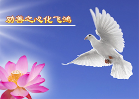Image for article As pessoas ficam felizes em aprender sobre o Falun Dafa