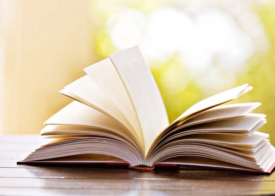 Image for article Prática de cultivo: Uma jornada de retorno às nossas origens (Parte 3)