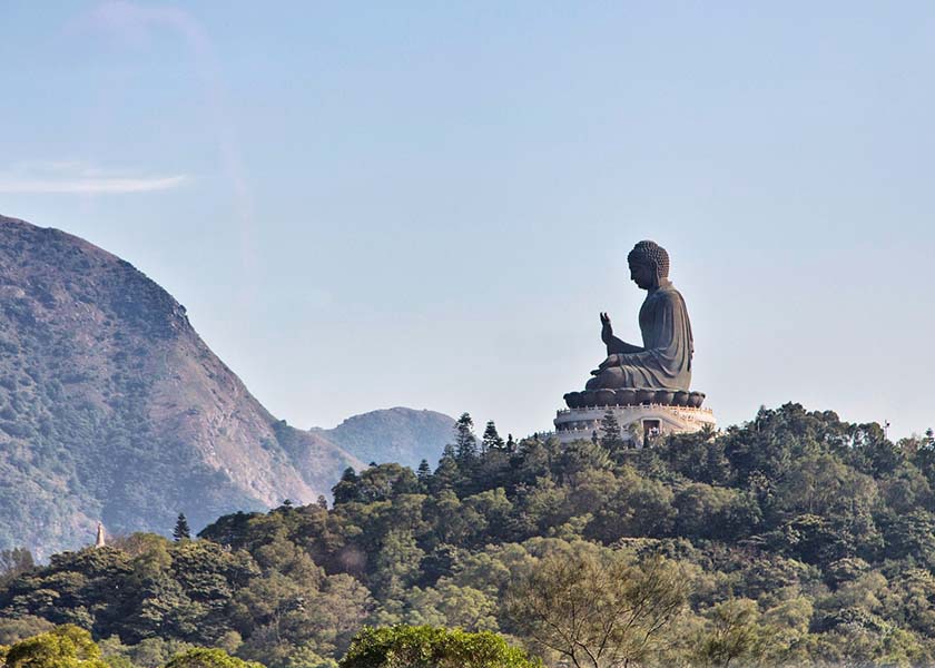 Image for article Prática de cultivo: Uma jornada de retorno à nossa origem (Parte 4)