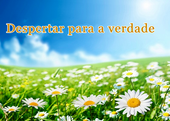 Image for article Pensamentos bondosos sobre o Falun Dafa salvaram uma fábrica