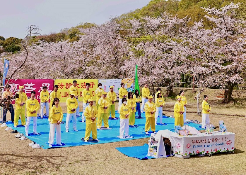 Image for article Cidade de Toyota, Japão: Apresentando o Falun Dafa durante o Festival da Floração das Cerejeiras