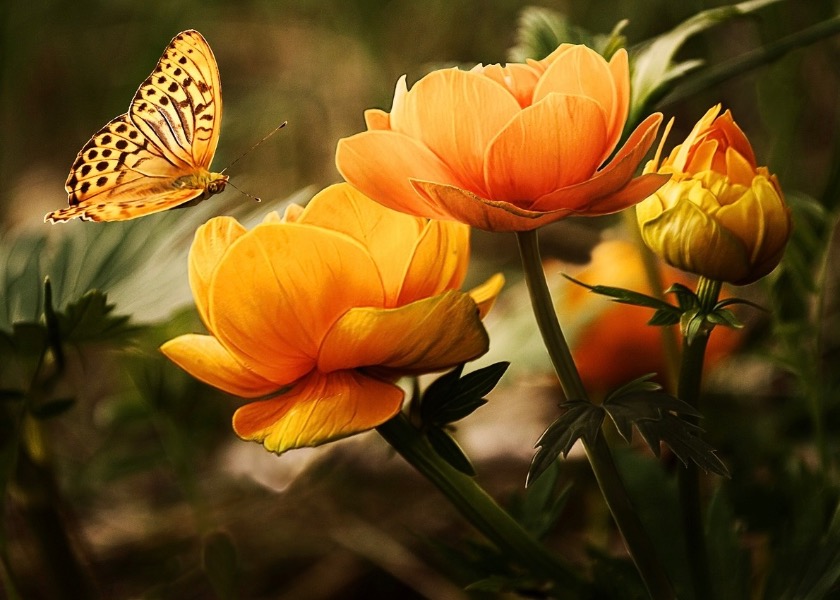 Image for article Leve a sério a escrita de artigos para comemorar o Dia Mundial do Falun Dafa