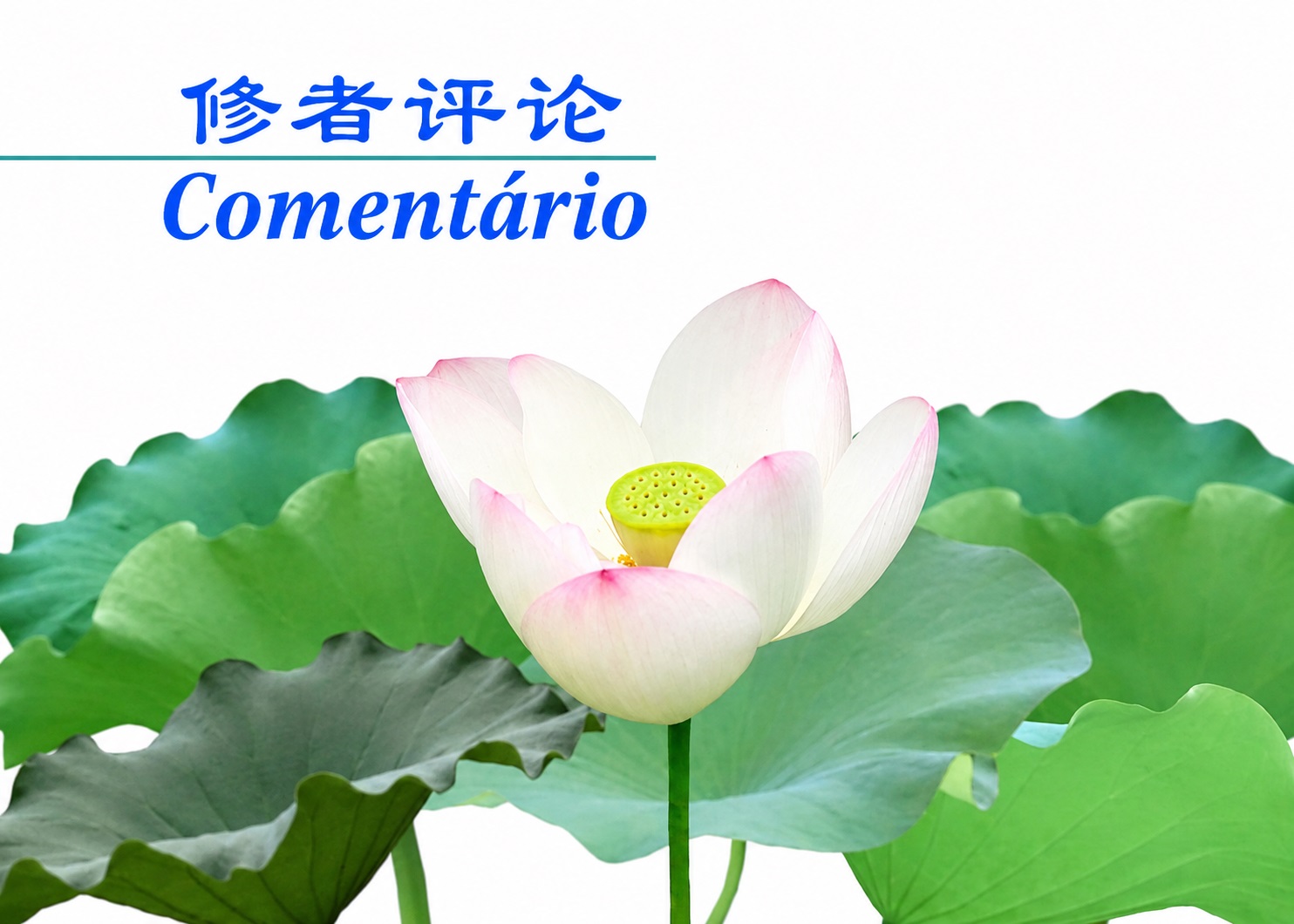 Image for article ​Os ataques desenfreados do PCC sinalizam sua destruição iminente