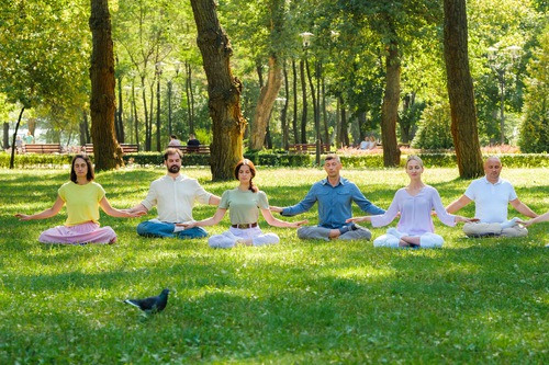 Image for article ​Mais de 165 mil pessoas em 170 países se beneficiam das aulas online do Falun Dafa.